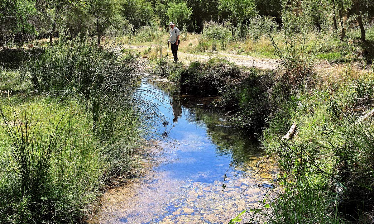 Una decena de parajes y lugares, de cauces donde observar los efectos de un año de lluvias en los ecosistemas, desde el Genil alto a los cauces de Castril, Cacín y Dílar