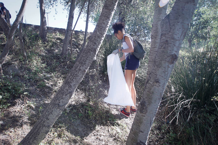 Ayer se desarrolló una batida de limpieza por la ribera del Genil a su paso por Cenes, actividad enmarcada en el Proyecto Libera