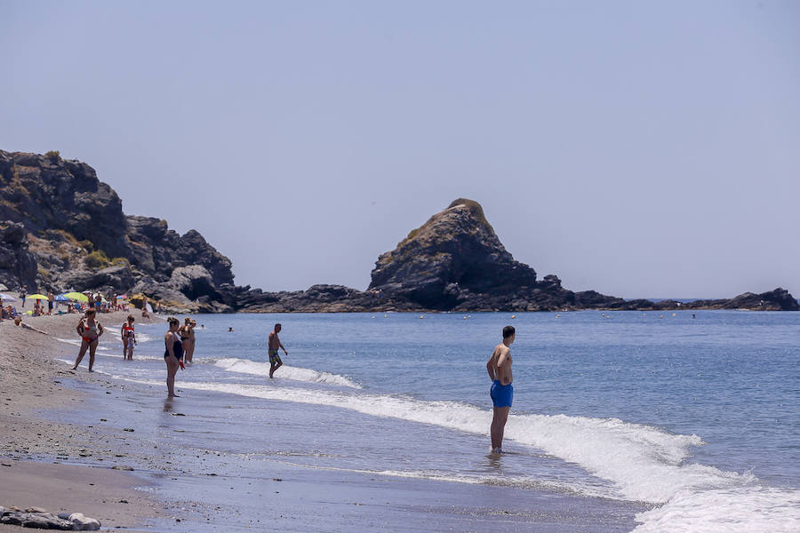 La Costa granadina se llena de 'cazadores' de medusas que ayudan a aliviar la orilla