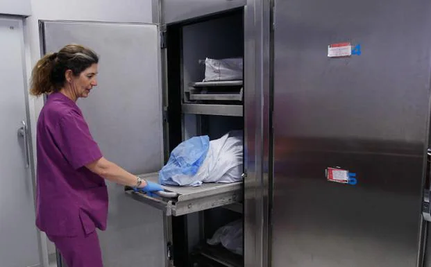 Galería. Así es la morgue del Instituto de Medicina Legal de Granada 