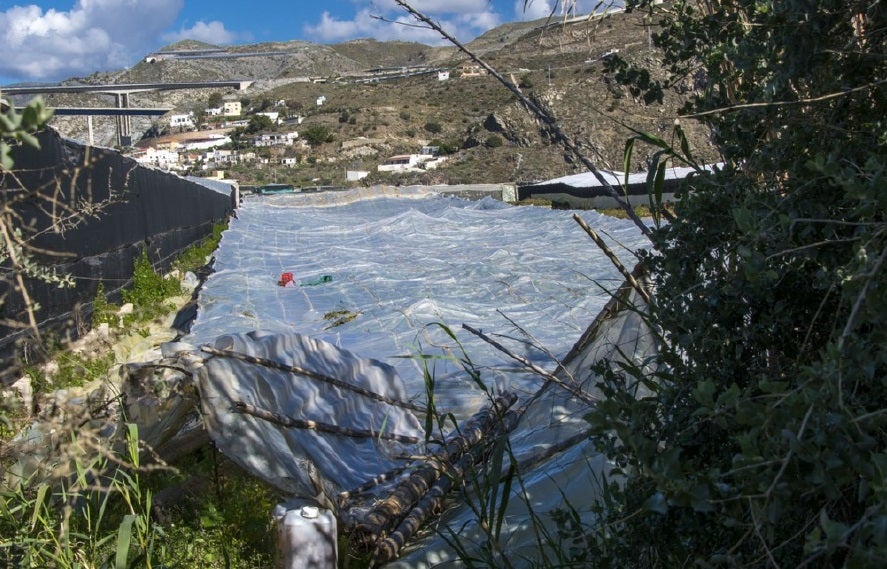 Bandera Negra 4 - Playa del Pozuelo | También denuncian "el abandono de los invernaderos".