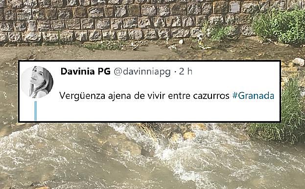«Ahora que no hay bicis, tiran esto al río en Granada: vergüenza ajena de cazurros»
