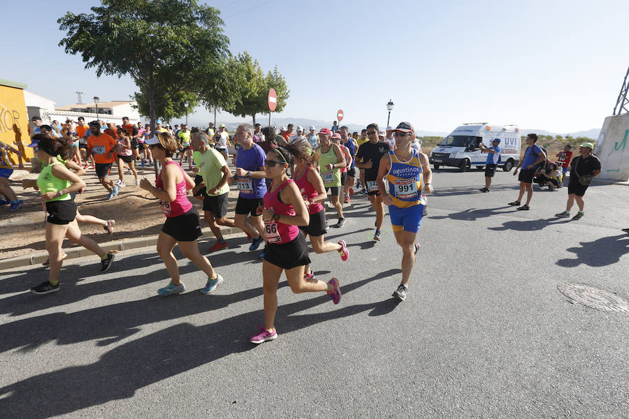 Juan Pérez y Petersson se llevan la victoria en Gójar, en una carrera que ha reunido a más de 700 corredores