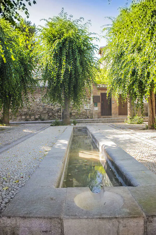 Por todos es conocida la belleza de Granada, sus fuentes, miradores y Cármenes, sus antiguos barrios como el Albaicín, considerado patrimonio de la humanidad, junto con la Alhambra y el Generalife. Además su maravilloso clima y diferentes propuestas paisajísticas, la hacen un lugar estupendo para visitar y, cómo no, para llevarte unas bonitas fotografías de los que tanto nos gusta compartir con nuestros amigos y familiares en las redes sociales. Pero entre tanta variedad, ¿qué lugares escogemos para que nuestros folowers se mueran de envidia?