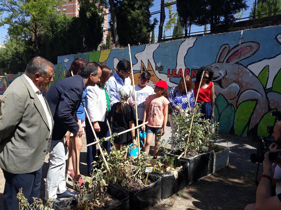 Más de 150 niños del distrito norte disfrutarán de las escuelas de verano de los CEIPS Juan Ramón Jiménez y Andalucía