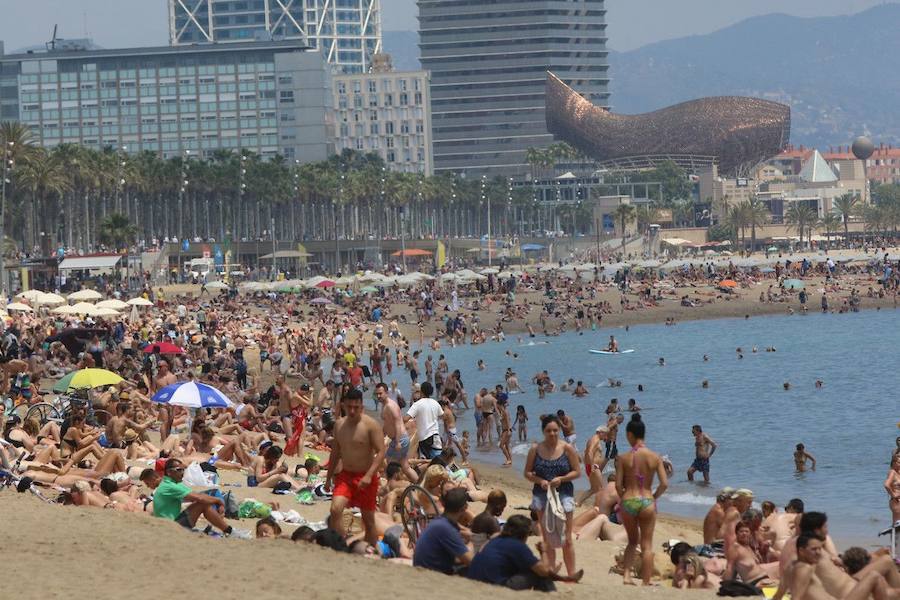 BARCELONETA, BARCELONA