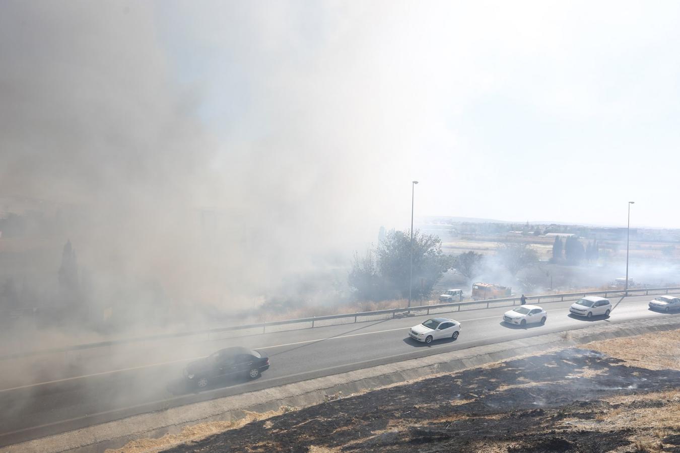 El fuego se ha producido cerca de la A-44 por lo que las llamas se han podido ver desde los vehículos que accedían o salían de la capital