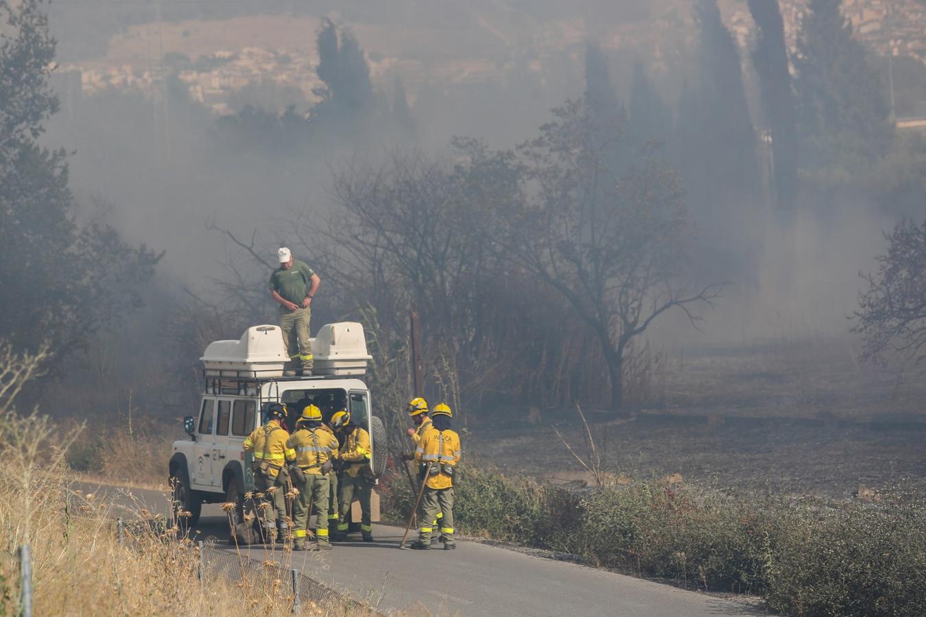 El fuego se ha producido cerca de la A-44 por lo que las llamas se han podido ver desde los vehículos que accedían o salían de la capital