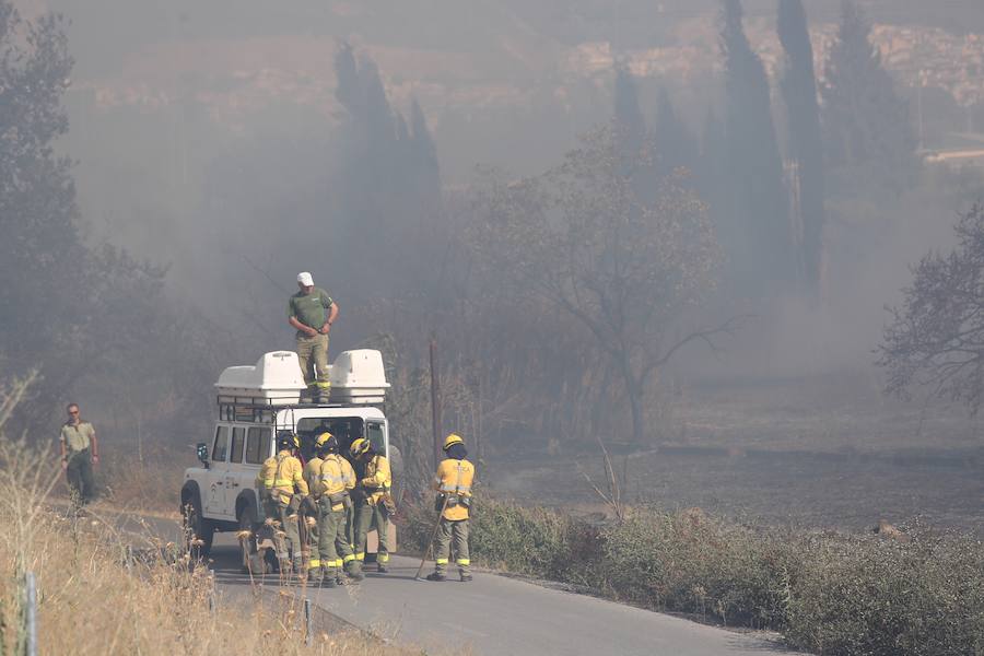 El fuego se ha producido cerca de la A-44 por lo que las llamas se han podido ver desde los vehículos que accedían o salían de la capital