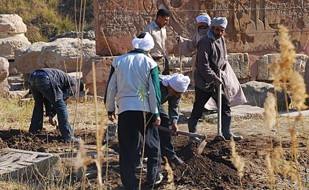 Una imagen del proyecto.