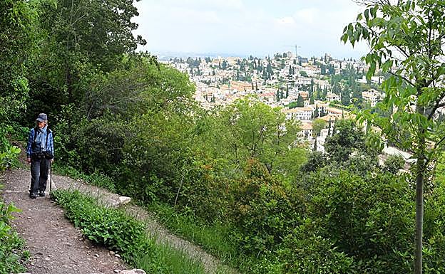 El Albaicín desde el sendero 