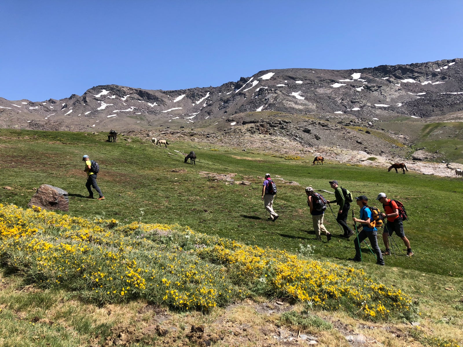 La gran acumulación de nieve durante el invierno ha producido uno de los espectáculos naturales más impresionantes de los últimos años en la gran montaña de Granada: la fusión de la nieve