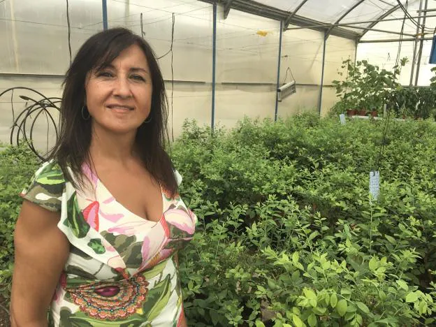 Inmaculada Idáñez Vargas, mujer, agricultora, empresaria, fundadora de GEA, miembro de la ejecutiva de COAG, en un invernadero de la zona de La Cañada. 