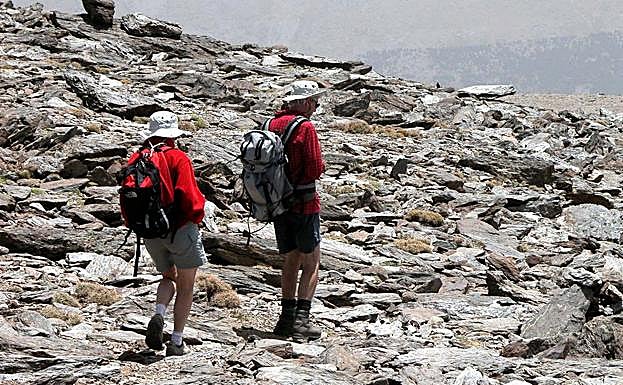 No debe transitarse fuera de los senderos ni hacer trochas para acortar camino. 