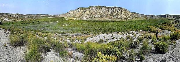 El humedal saladar de El Margen (Cúllar)