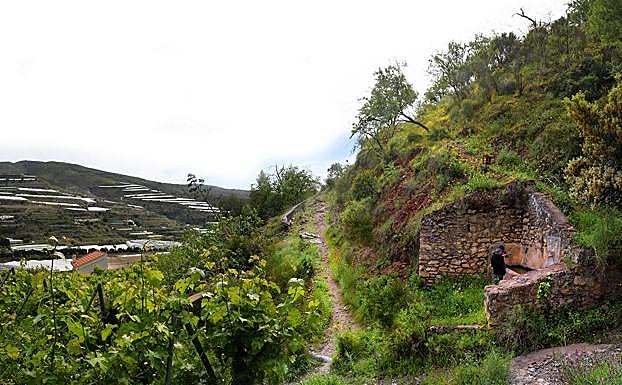 Fuente de Maigámez, en el cerro del Gato de Albuñol, Granada 