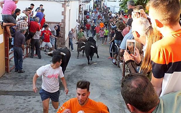 Este miércoles empiezan los encierros de Gor, los más antiguos de España