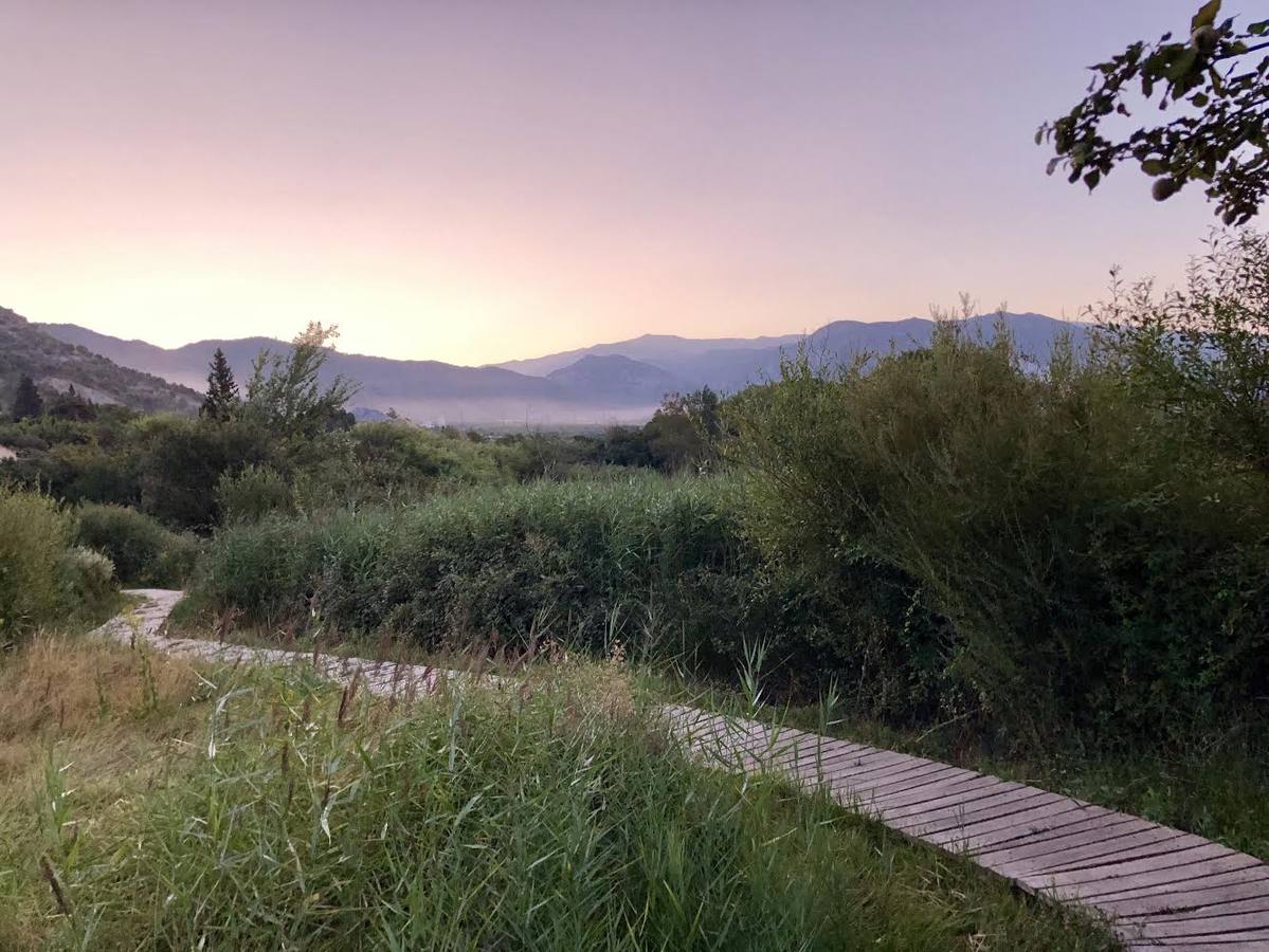 estamos en las lagunas del Padul y Alfonso camina con paso decidido, en camiseta de manga corta, sin dar muestra alguna de frío. Opto por callar, apretar los dientes y seguir adelante por la pasarela de madera que nos conduce entre carrizos, juncos y demás plantas ribereñas; a la espera de que salga el sol