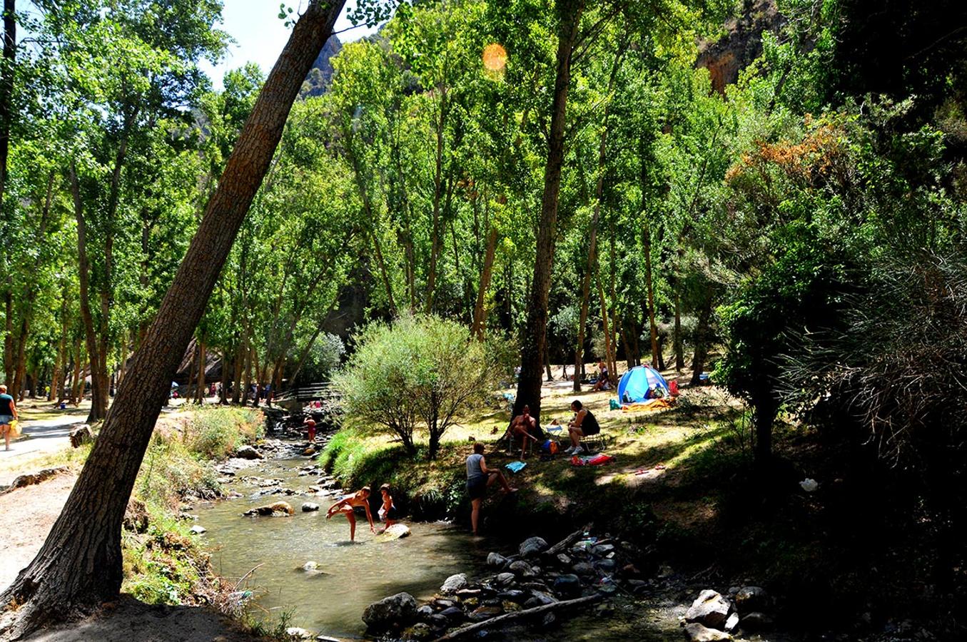 Las riberas del río Dilar, alamedas para buscar el frescor de la naturaleza en verano