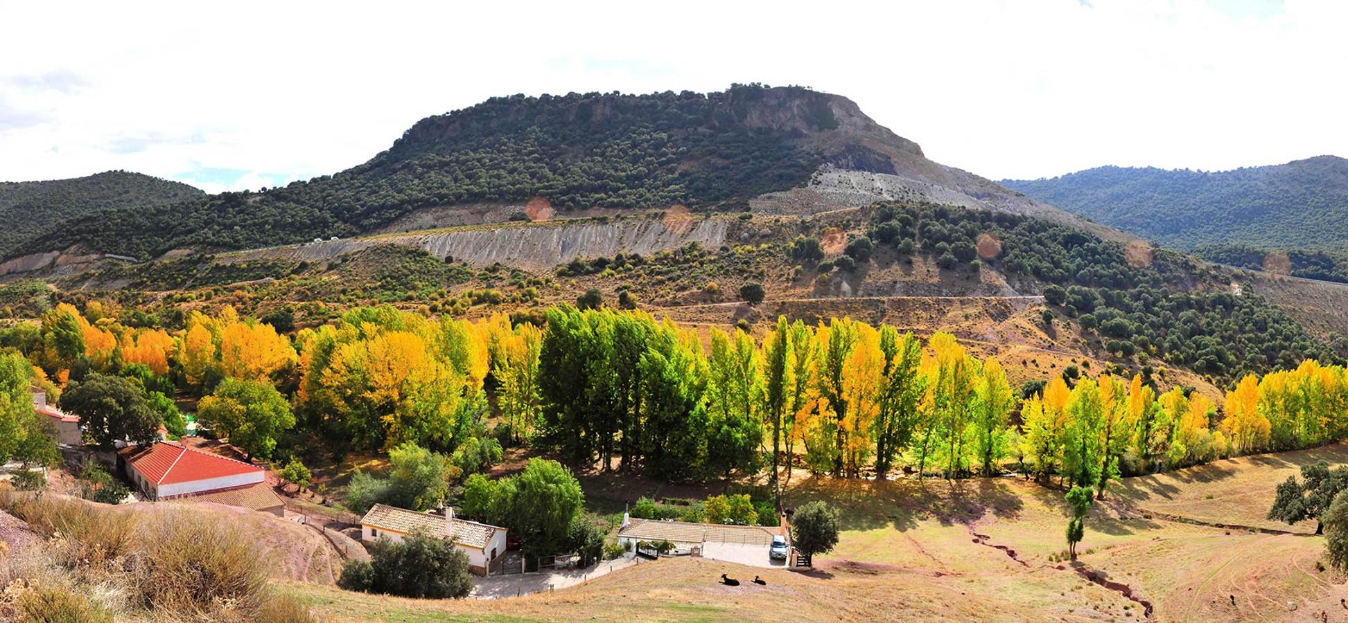 Las riberas del Fardes, junto al Molinillo, son tierras de alamedas ocres..