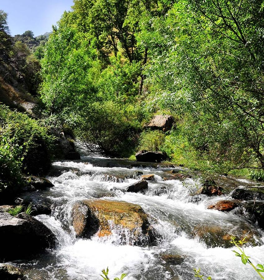 Alamedas de alta montaña, el río San Juan genera bosques de ribera en su confluencia con el Genil