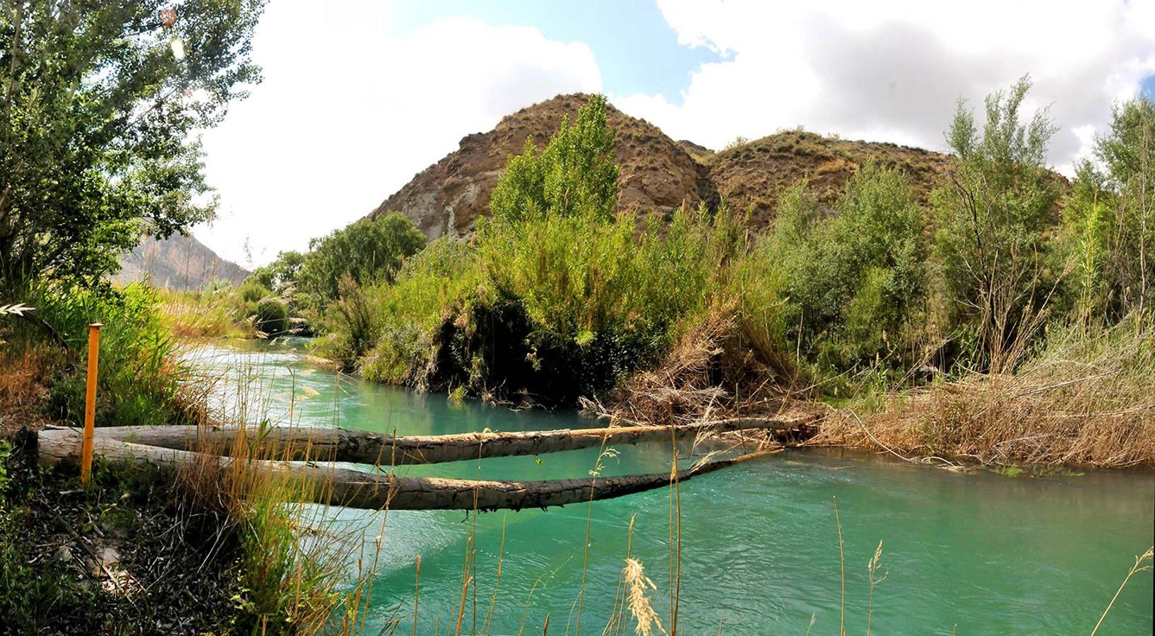 La aridez del noreste de la provincia de Granada, las tierras semidesérticas se visten de verde gracias a los álamos alimentados por las aguas del río Guadiana Menor