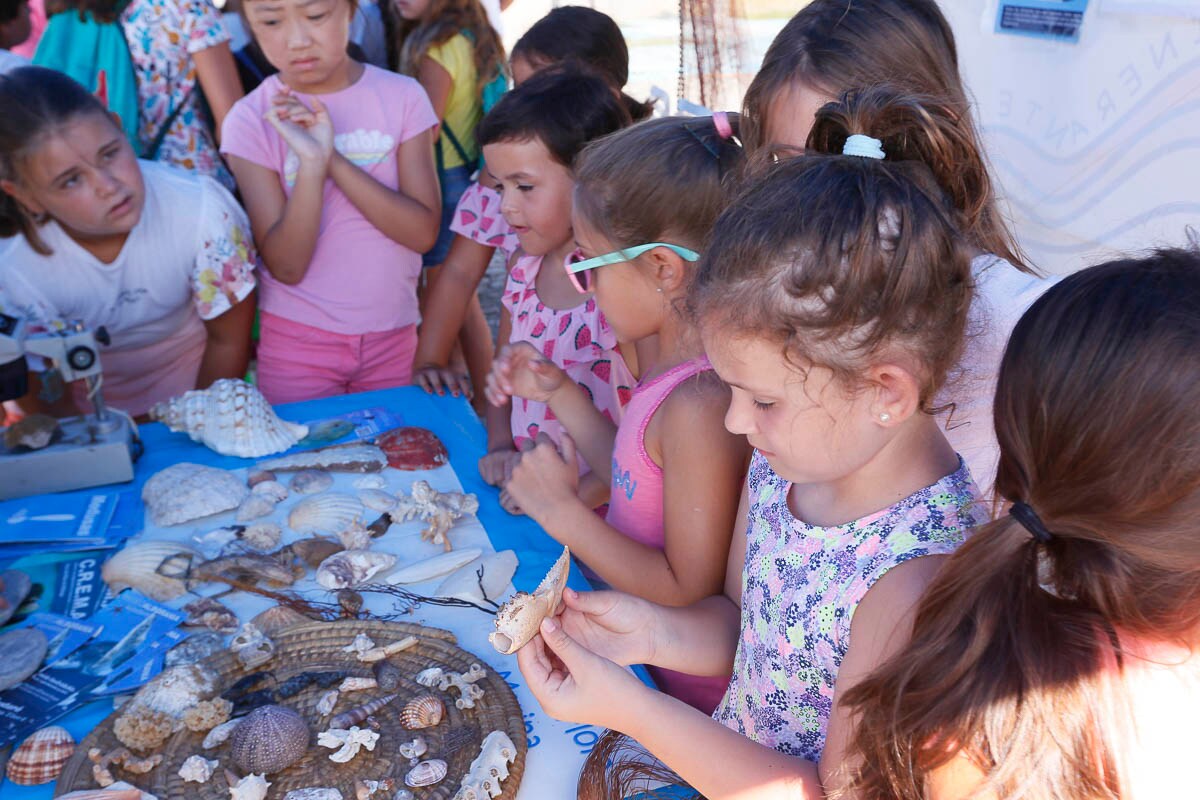 Los niños de Almuñécar descubren con el Aula del Mar de Málaga los fondos marinos y aprenden a socorrer a los delfines