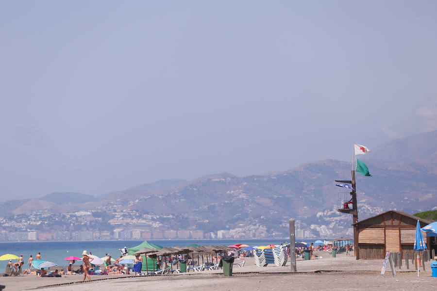 Bandera verde en Playa Granada 