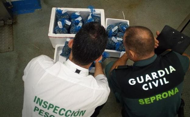 Intervenidos 57 kilos de chirlas inmaduras en una nave del polígono industrial Guadiel de Guarromán