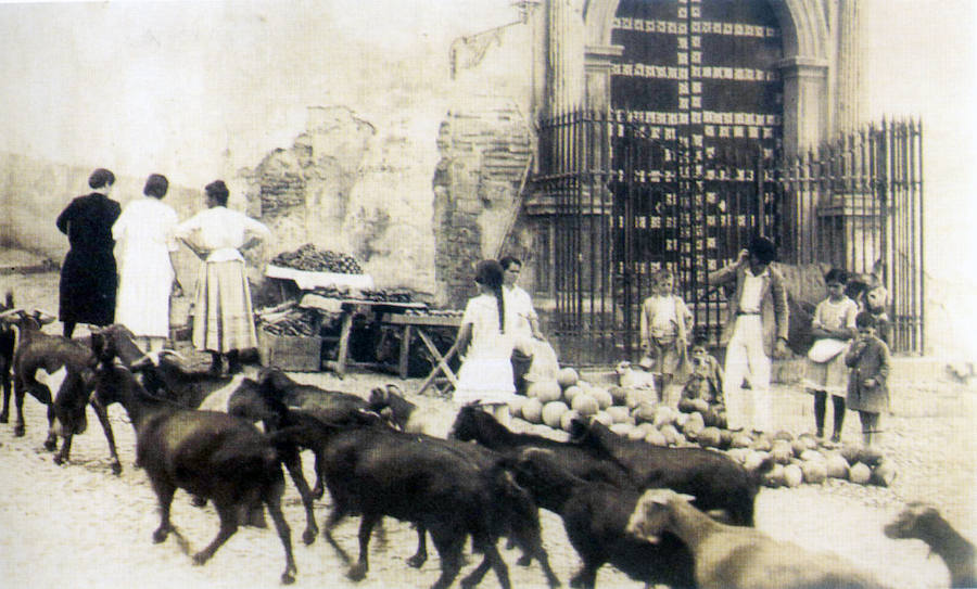 Un rebaño de cabras pasa junto a la iglesia del convento de San Gregorio Bético