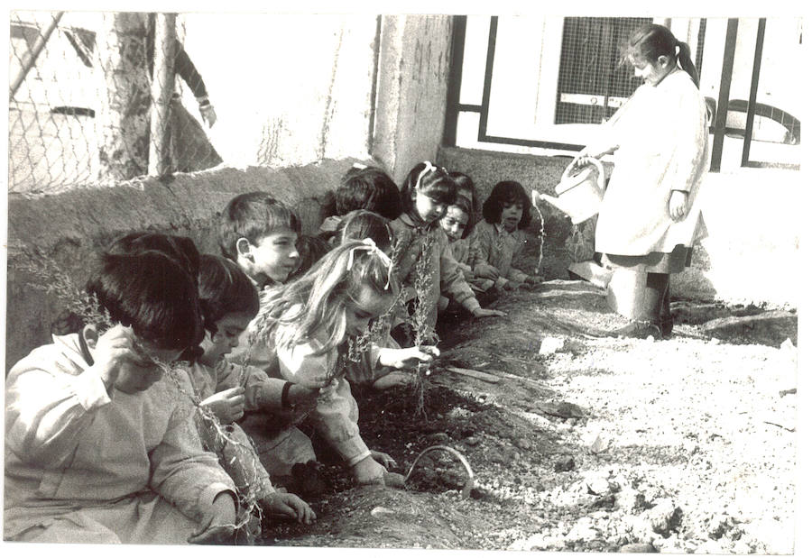 Huerto escolar en un colegio de Granada