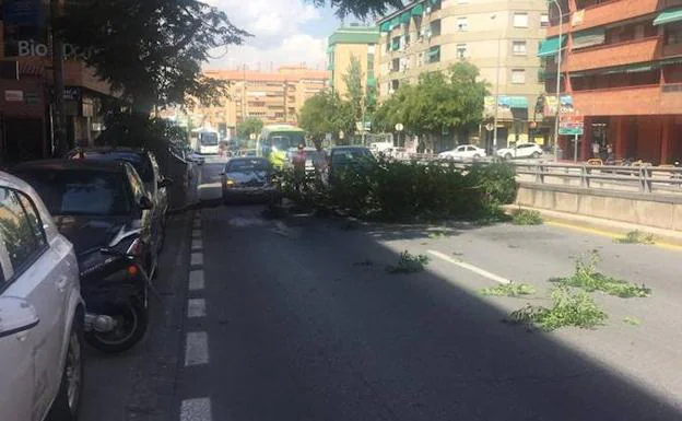 Imagen del suceso en la avenida de Andalucía de Granada. 