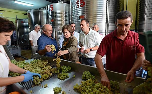 El sector vitivinícola de Granada logra 6.200 toneladas de uva y genera 50.000 empleos