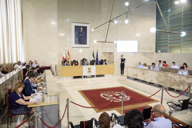 Sesión plenaria del Ayuntamiento de Almería, donde debaten y votan los ediles de la capital. 
