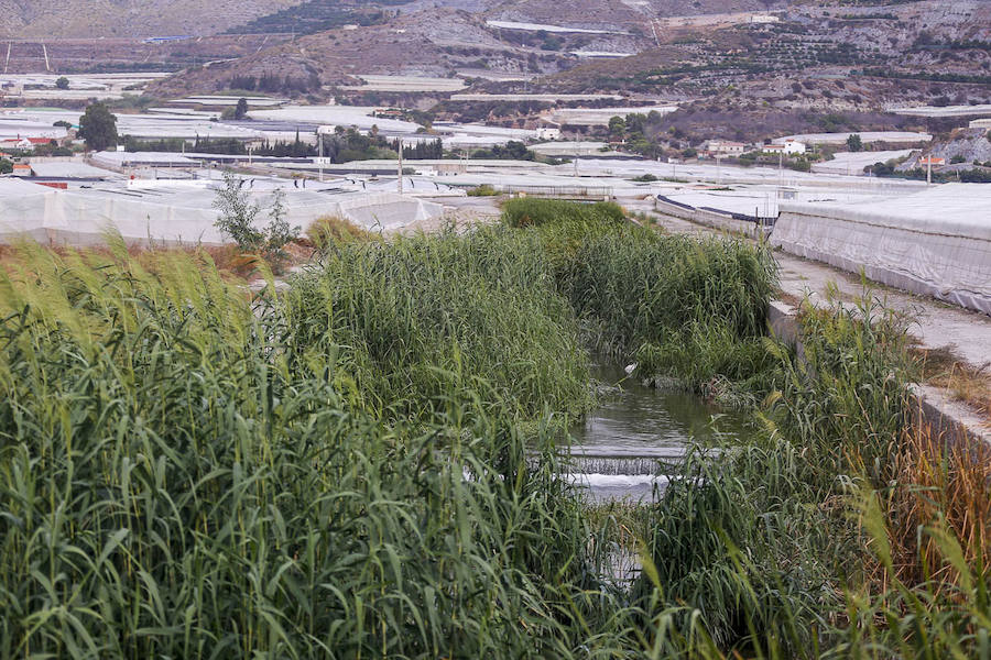 Los pueblos reclaman el mantenimiento de sus cauces y advierten del peligro que se corre al tenerlos sucios