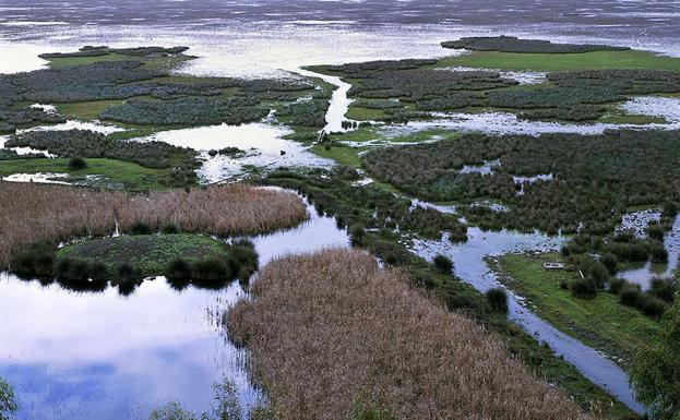 El humedal de Doñana. 