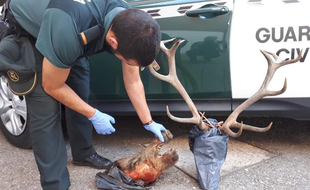 Dos furtivos detenidos en La Carolina