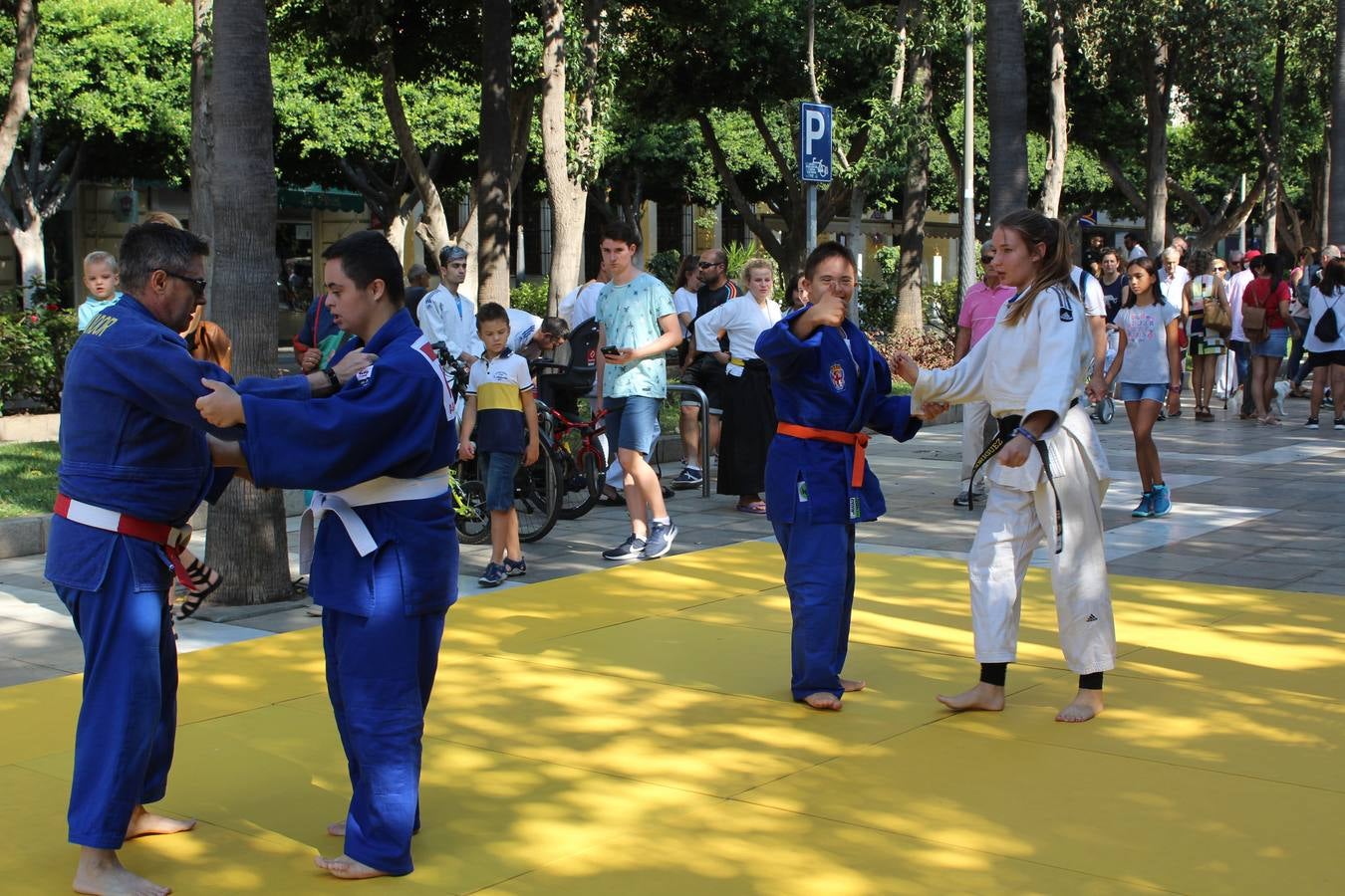 Miles de almerienses participan en la actividad 'Mueve la calle: actívate' que ha permitido practicar 24 disciplinas deportivas durante cuatro horas