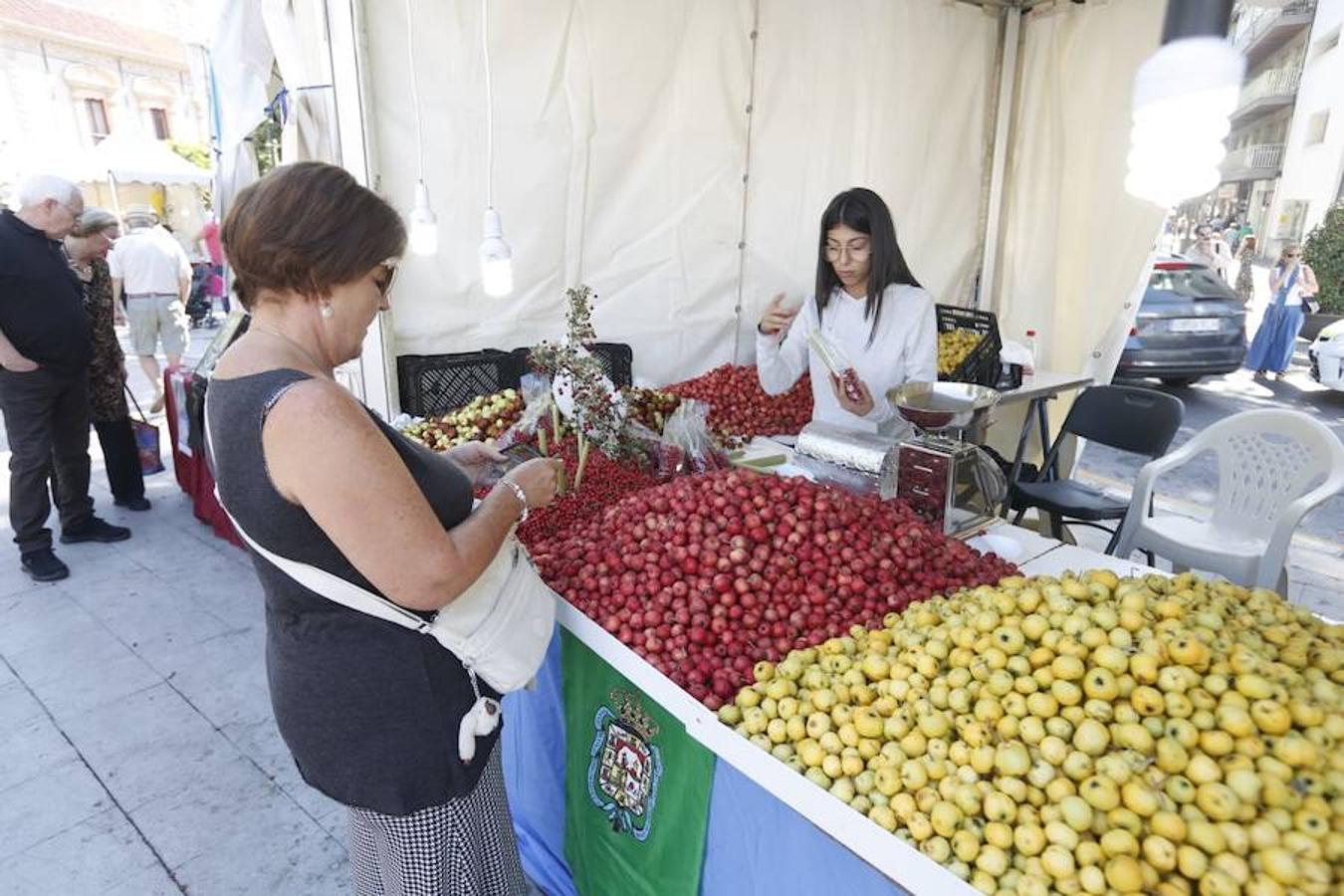 Cientos de granadinos y turistas se han aproximado este fin de semana a los distintos puestos de frutas y dulces otoñales que se han dispuesto en la capital