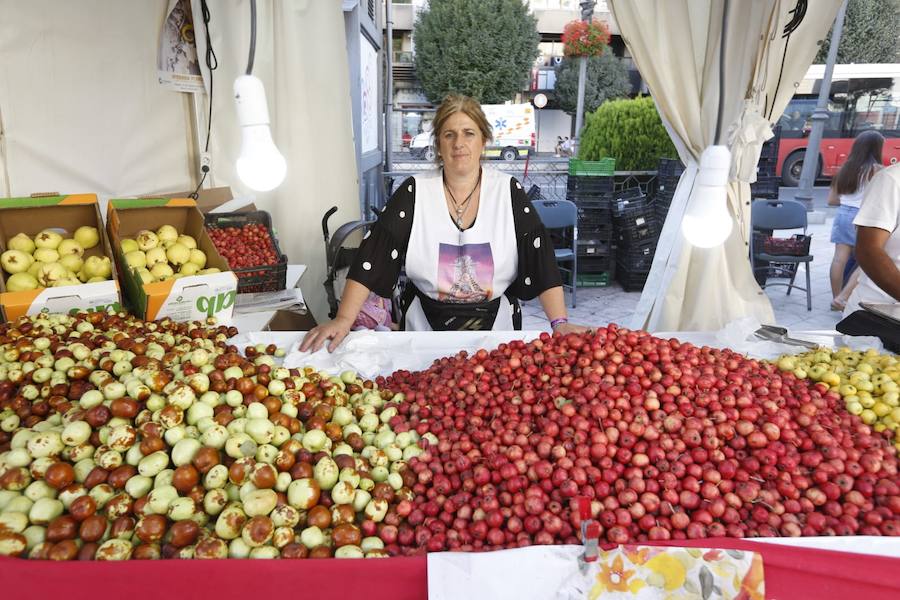 Cientos de granadinos y turistas se han aproximado este fin de semana a los distintos puestos de frutas y dulces otoñales que se han dispuesto en la capital