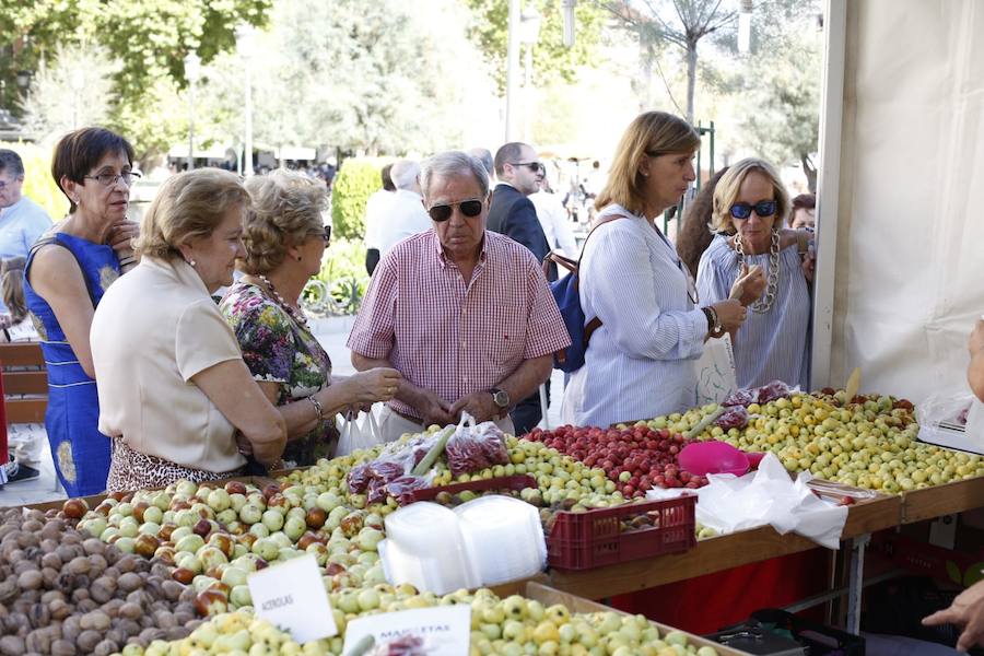 Cientos de granadinos y turistas se han aproximado este fin de semana a los distintos puestos de frutas y dulces otoñales que se han dispuesto en la capital