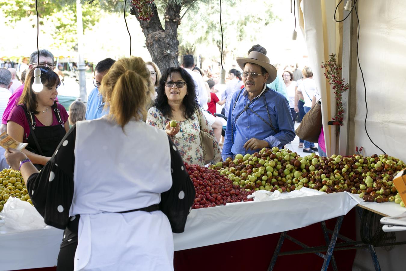 Cientos de granadinos y turistas se han aproximado este fin de semana a los distintos puestos de frutas y dulces otoñales que se han dispuesto en la capital