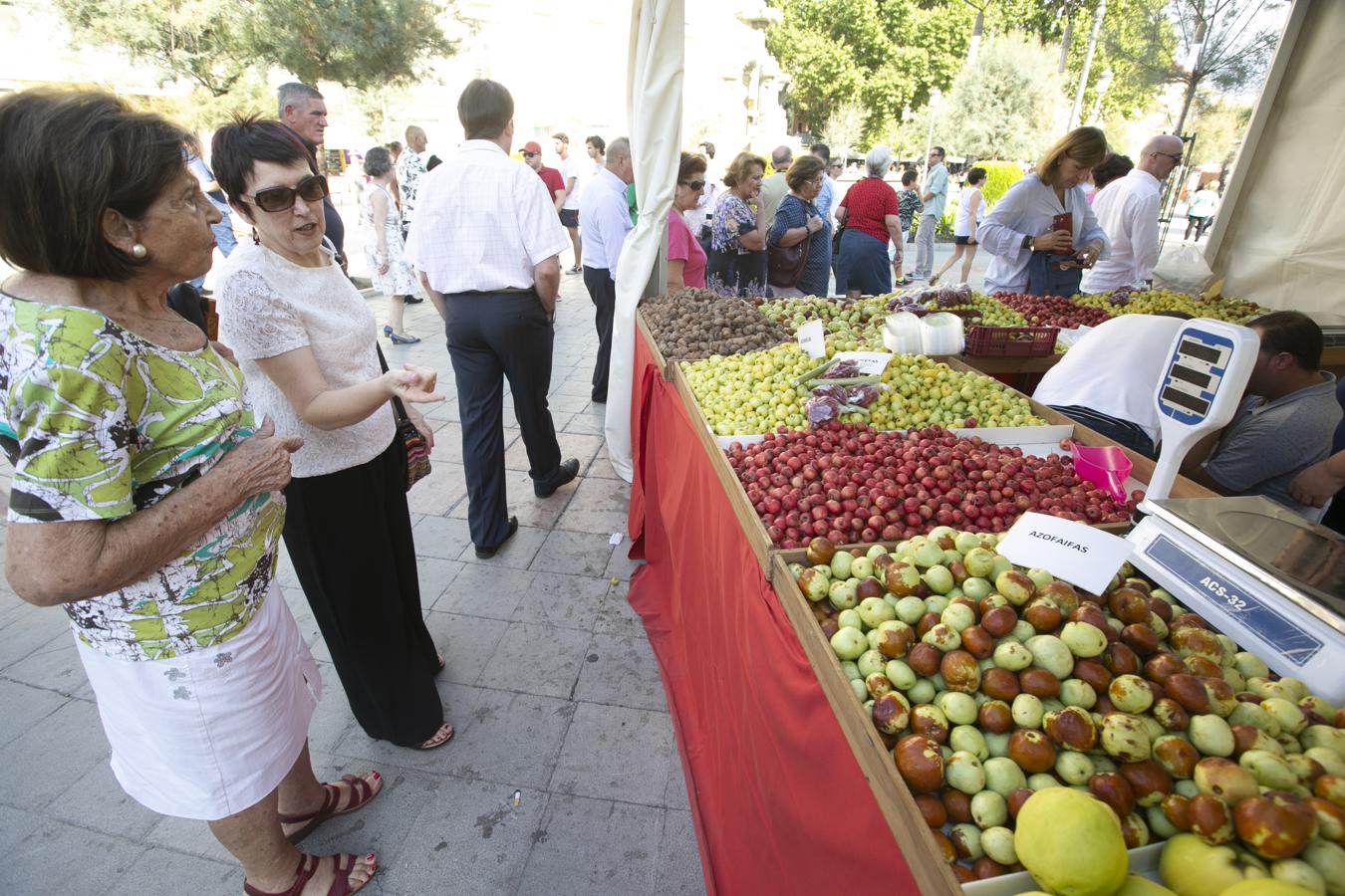 Cientos de granadinos y turistas se han aproximado este fin de semana a los distintos puestos de frutas y dulces otoñales que se han dispuesto en la capital