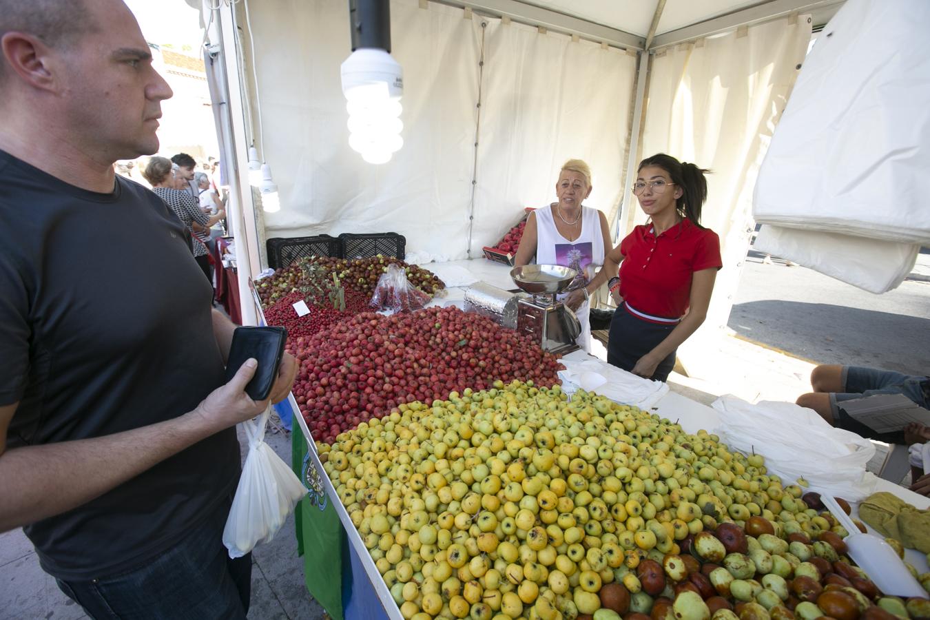 Cientos de granadinos y turistas se han aproximado este fin de semana a los distintos puestos de frutas y dulces otoñales que se han dispuesto en la capital