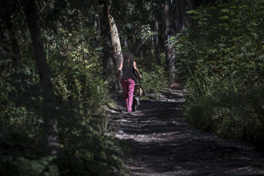 La Policía Local de Órgiva retira con grúa más de veinte vehículos con un preaviso de 24 horas