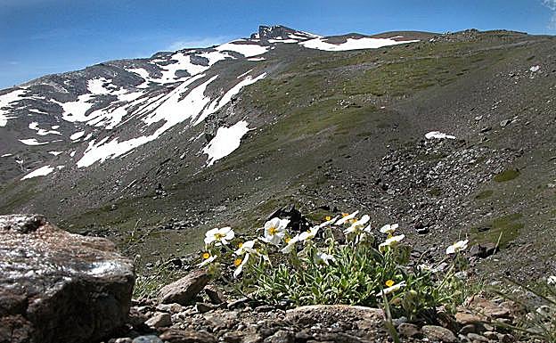 El futuro depende de una gestión con criterios de sostenibilidad. Las laderas del Veleta
