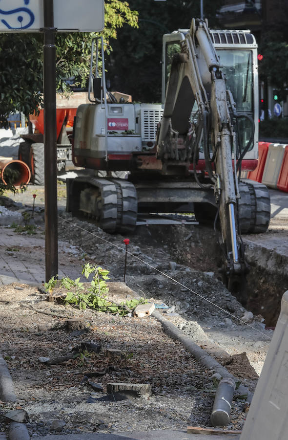 La reforma de la antigua carretera de Málaga ha ocasionado la alteración de los vecinos al percatarse de que los trabajadores de Emasagra han talado varios árboles 