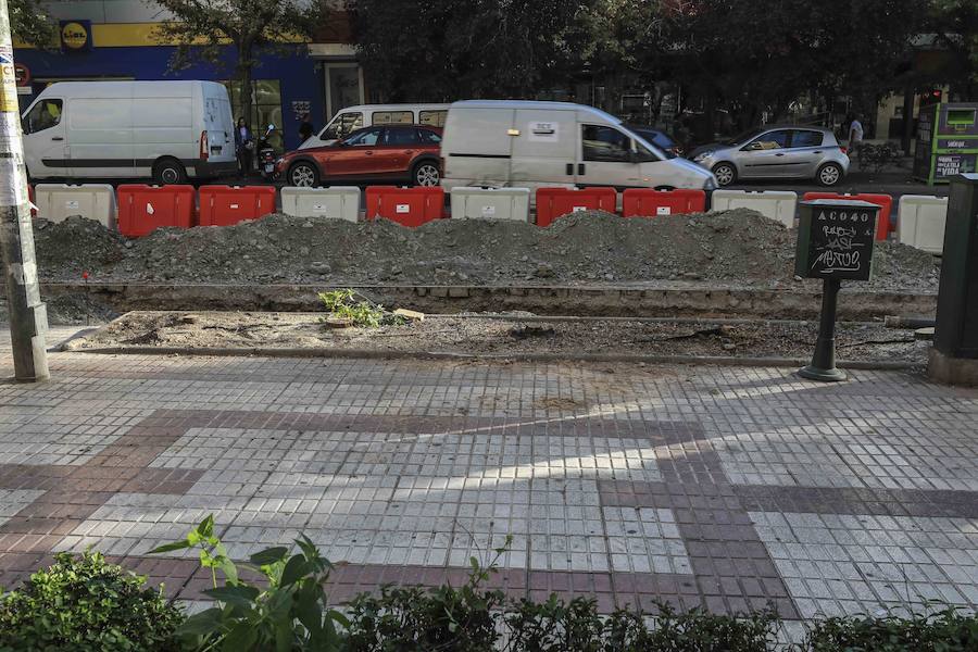 La reforma de la antigua carretera de Málaga ha ocasionado la alteración de los vecinos al percatarse de que los trabajadores de Emasagra han talado varios árboles 