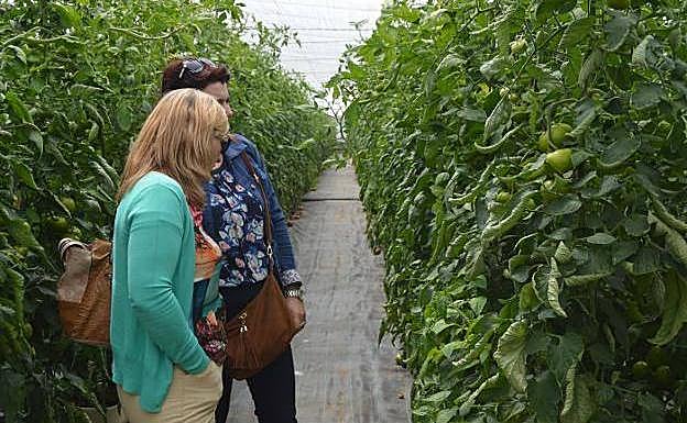 Productoras observan una variedad de tomate durante una jornada de campo. 