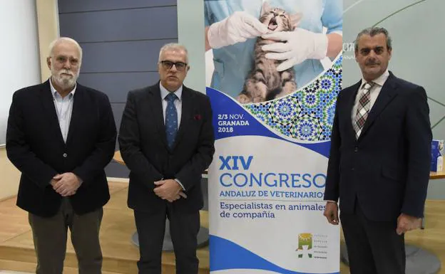 Los avances en el tratamiento o la protección animal centrarán el Congreso Andaluz de Veterinarios en Granada